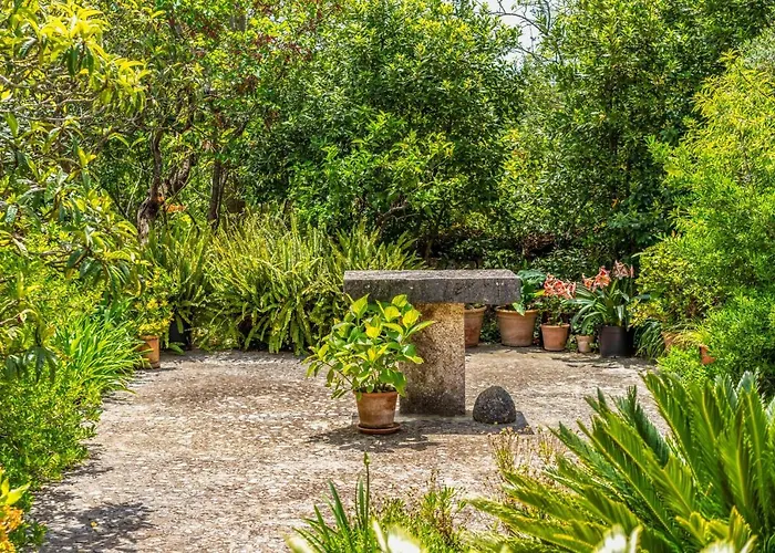 - 3502-49 Mallorca Hébergement de vacances *