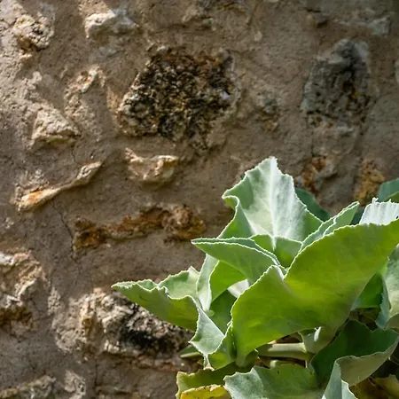 בית נופש - 3502-49 Mallorca פוינסה