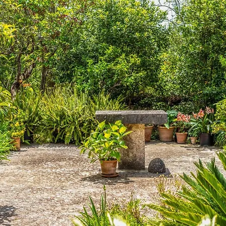 - 35024 Mallorca Ferienhaus *