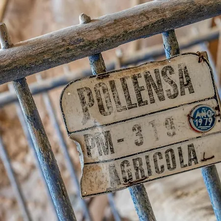 - 35024 Mallorca *