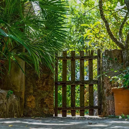 - 35024 Mallorca Ferienhaus *