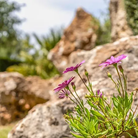 - 3502-49 Mallorca בית נופש פוינסה