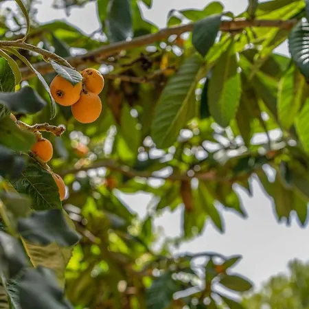 - 3502-49 Mallorca *