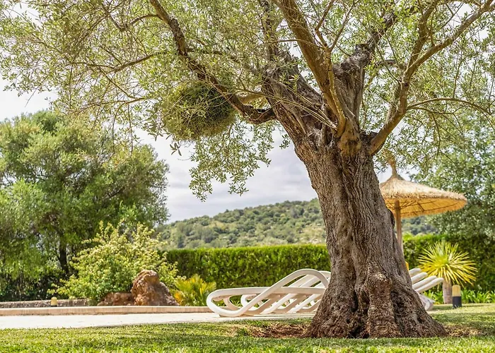 - 3502-49 Mallorca Dom wakacyjny *