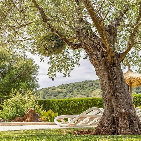 - 3502-49 Mallorca Ferienhaus *