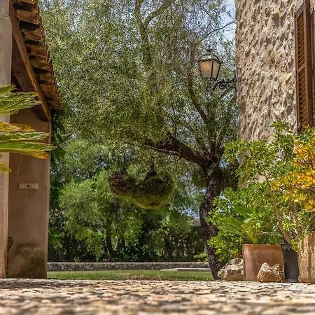 - 3502-49 Mallorca Pollença